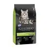 Equilibrio Gatos Adultos Castrados