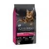 Equilibrio Gato Adulto