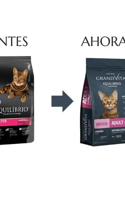 Equilibrio -  Gatos Adultos