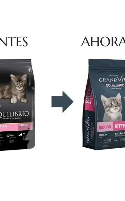 Equilibrio -  Gato Filhote