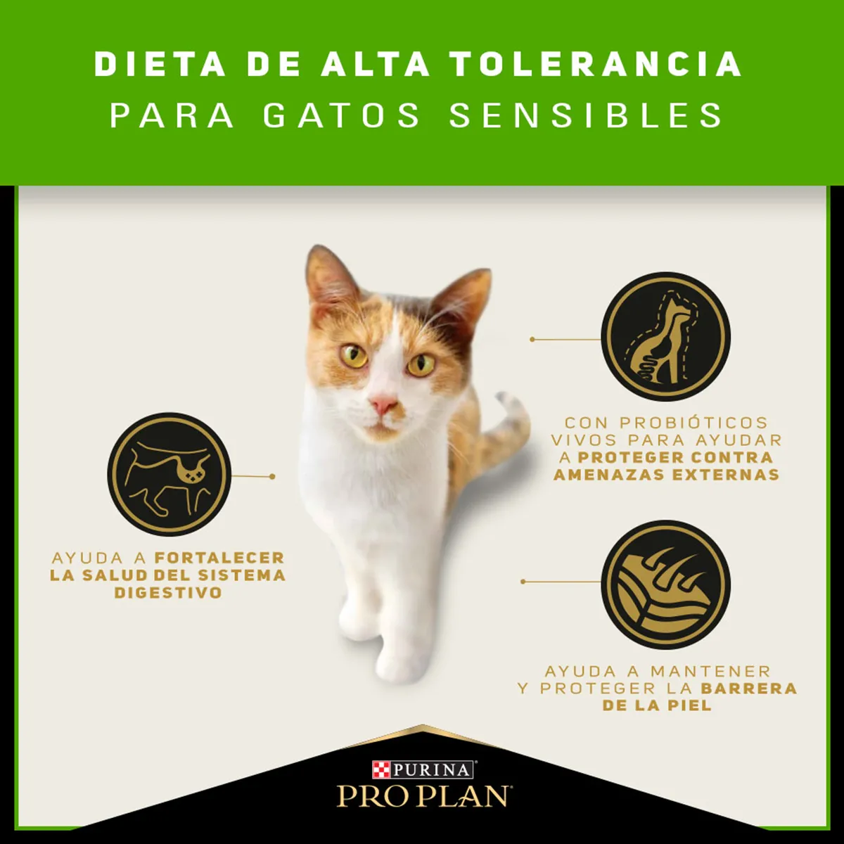 Pro Plan - Adulto con piel y estómago sensibles - Imagen 3