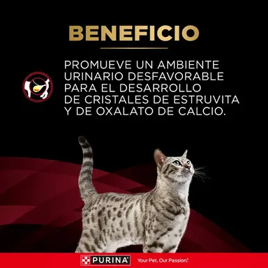 Pro Plan Veterinary Diets - DM Diabetes - Imagen 4