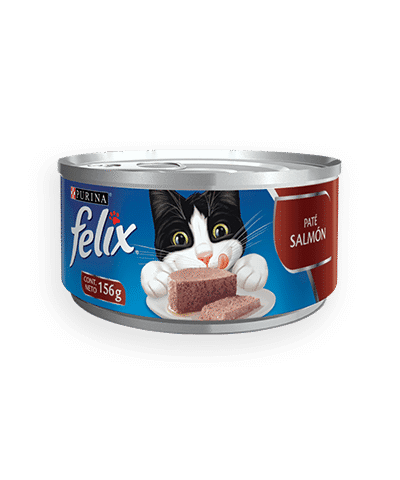 Purina Feliz Paté Salmón x 156 Gr Ameanimal1