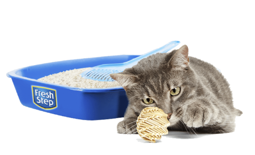 Fresh Step Multi Cat Aglomerante - Imagen 2