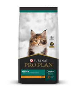 ProPlan Kitten