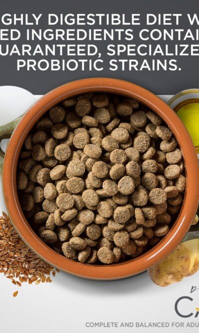 Diamond Care Sensitive Stomach Formula For Adult