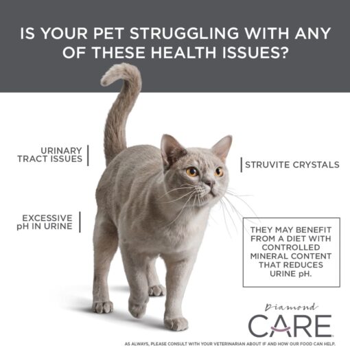 Diamond Care Soporte Urinario Gatos - Imagen 3