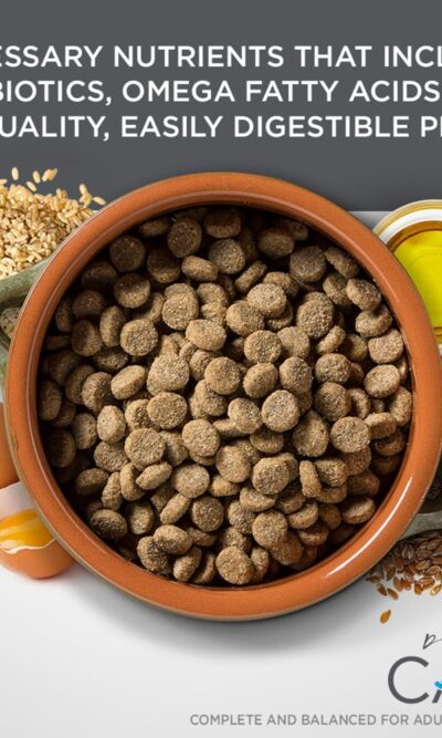 Diamond Care Renal Formula For Adult