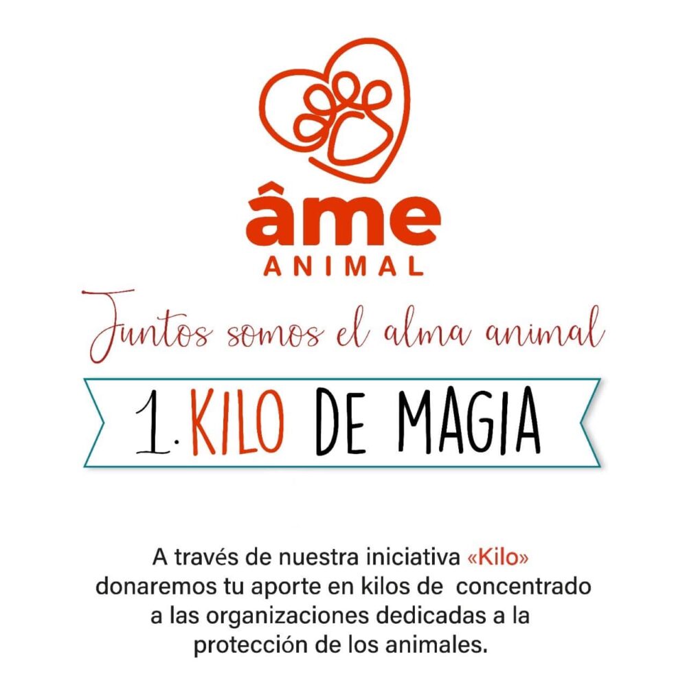 1 Kilo de Magia para Gato