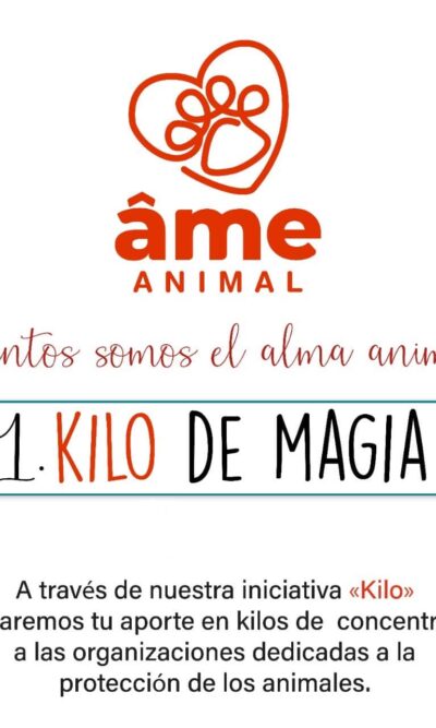 1 Kilo de Magia para Gato