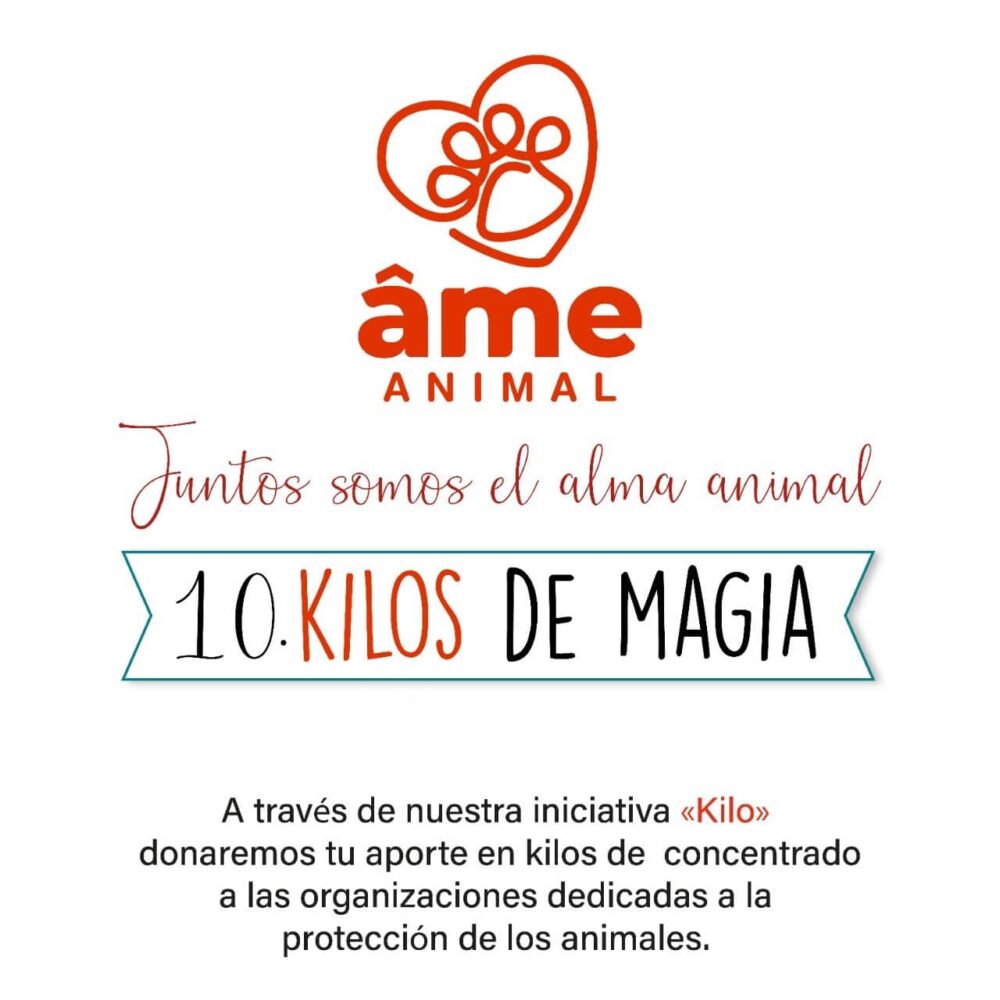 10 Kilo de Magia para Gato