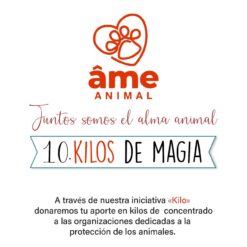 10 Kilo de Magia para Gato