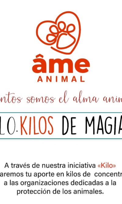 10 Kilo de Magia para Gato