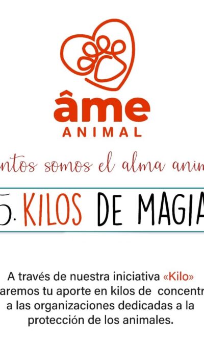 5 Kilo de Magia para Gato