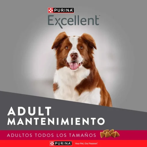 Excellent - Formula Adulto Mantenimiento - Imagen 5