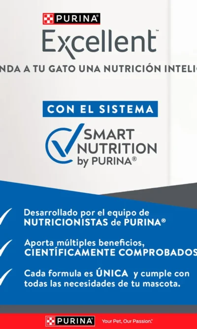 excelent-kitten-AMEANIMAL1