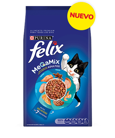 Felix-Megamix-ameanimal-1
