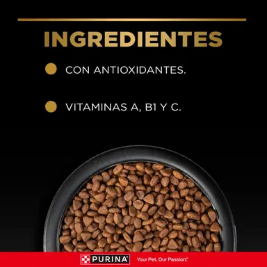 Pro Plan - Adultos razas pequeñas con paladares exigentes - Imagen 4