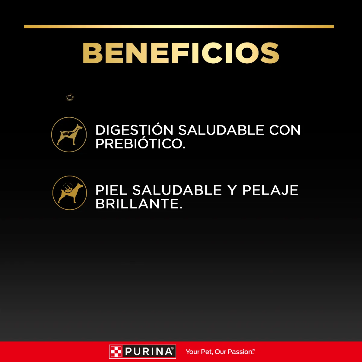 Pro Plan - Alimento húmedo de pollo adulto - Imagen 2