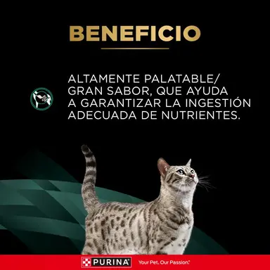 Pro Plan Veterinary Diets - EN Dietas Gastroenteric Feline - Imagen 2