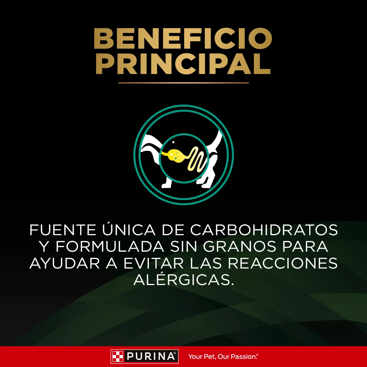 Pro plan Veterinary Diets - HA Alimento Hidrolizado - Imagen 3