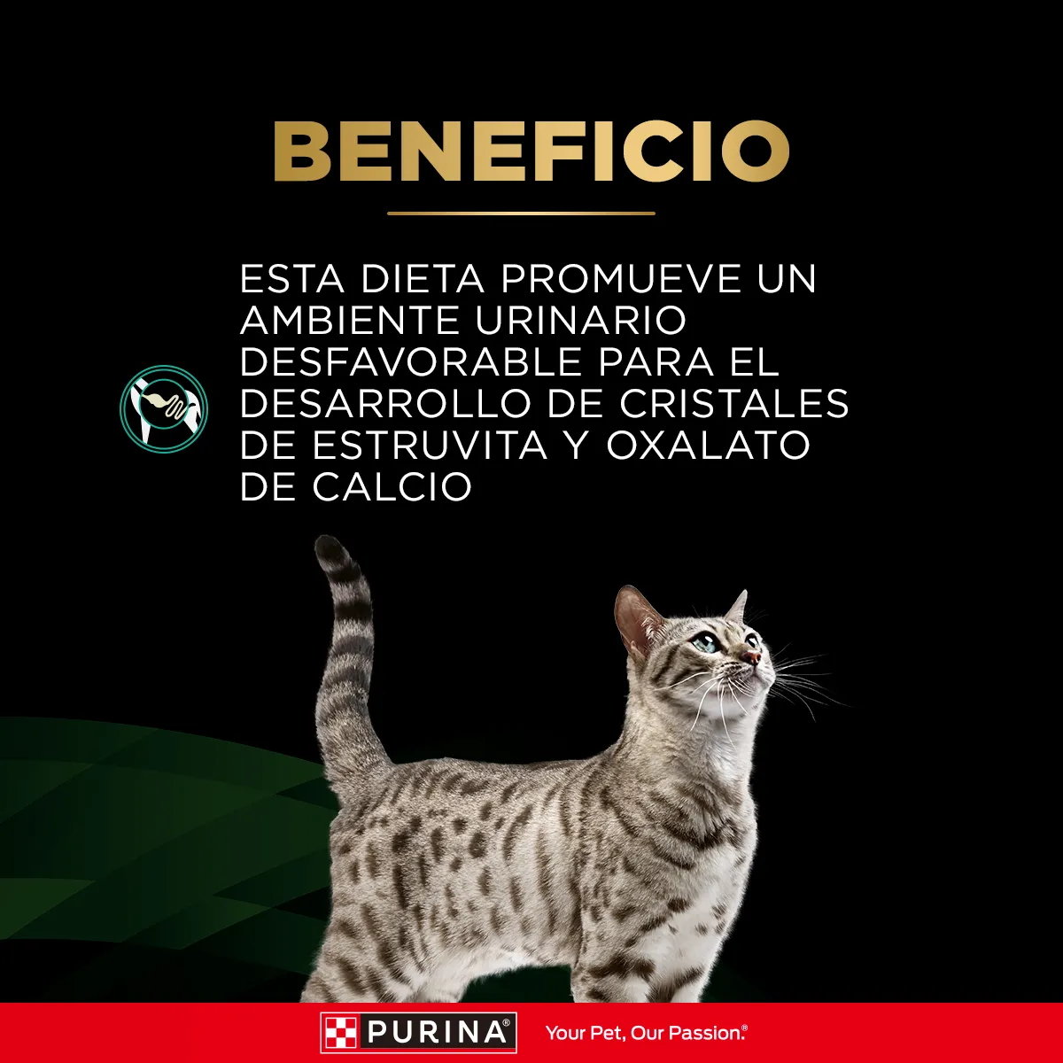 Pro plan Veterinary Diets - HA Alimento Hidrolizado - Imagen 4