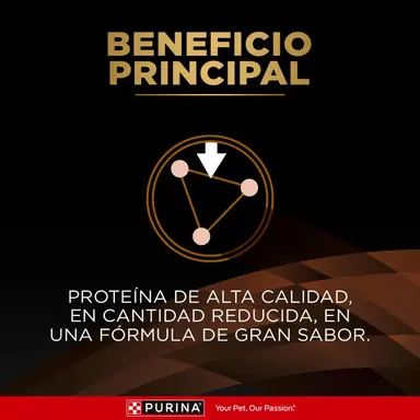 Pro Plan Veterinary Diets - NF Enfermedad Renal Etapa Inicial - Imagen 3