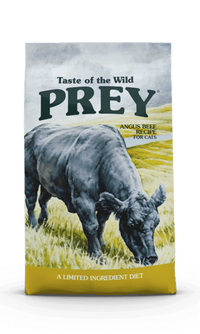 prey-angus-cat-front-ANGUS-CAT-AMEANIMAL1