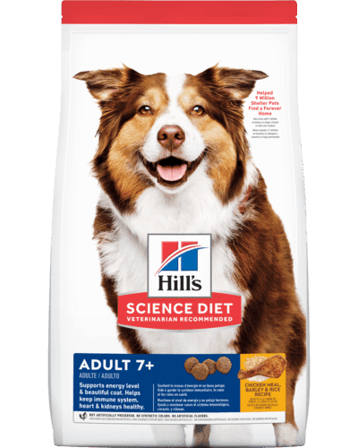 sd-canine-adult-7-plus-OB-AMEANIMAL1