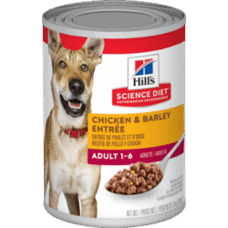 sd-canine-adult-chicken-HÚMEDO-AMEANIMAL1