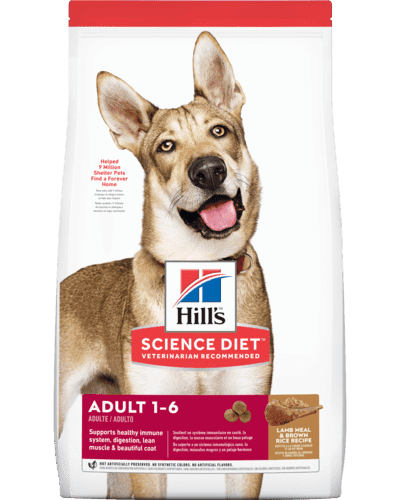 sd-canine-adult-lamb-meal-brown-rice-recipe-OB-AMEANIMAL1