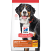 sd-canine-adult-large-breed-AMEANIMAL1