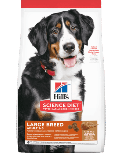 sd-canine-adult-large-breed-lamb-meal-brown-rice-recipe-LR-AMEANIMAL1