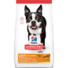 sd-canine-adult-light-small-AMEANIMAL1