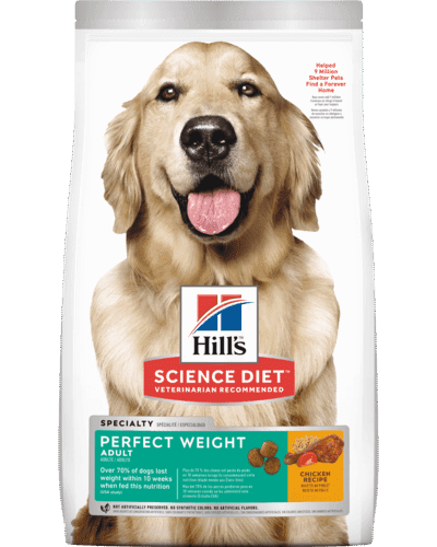 sd-canine-adult-perfect-weight-AMEANIMAL1