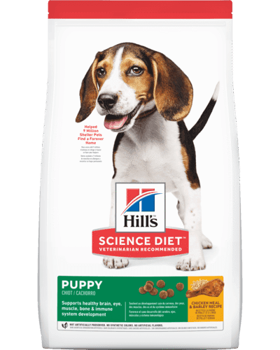 sd-canine-puppy-OB-AMEANIMAL1