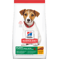 sd-canine-puppy-small-bites-AMEANIMAL1