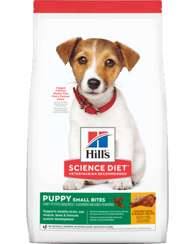 sd-canine-puppy-small-bites-AMEANIMAL1