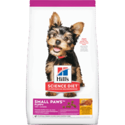 sd-canine-puppy-small-breed-AMEANIMAL1