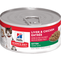 sd-feline-kitten-liver-chicken-HÚMEDO-AMEANIMAL1