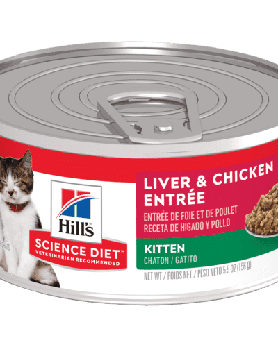 sd-feline-kitten-liver-chicken-HÚMEDO-AMEANIMAL1