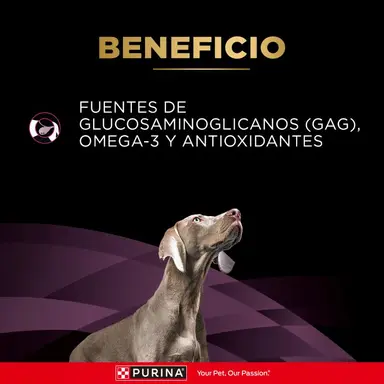 Pro Plan Veterinary Diets - UR Urinary ST/OX Canine - Imagen 3