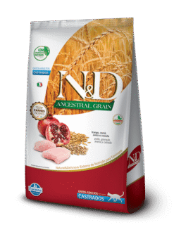 Ancestral_Gato_Frango_Adulto_Castrado_AMEANIMAL1