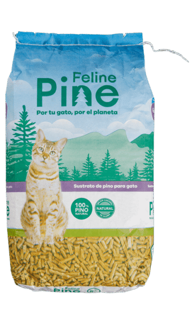 FELINE PINE AME ANIMAL 1