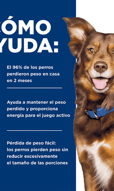 HILLS-METABOLIC-AME ANIMAL 3