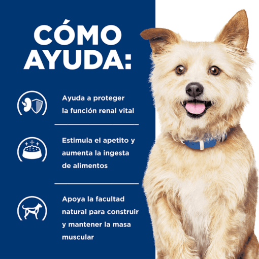 Hills Prescription Diet Cuidado Renal K/D Pollo Y Vegetales - Imagen 2