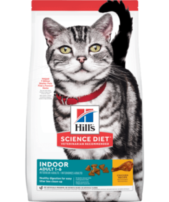sd-feline-adult-indoor-AMEANIMAL1