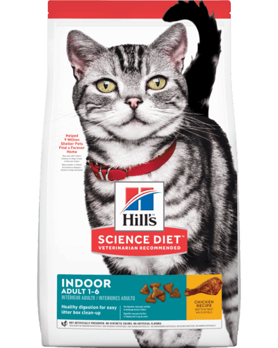 sd-feline-adult-indoor-AMEANIMAL1