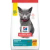 sd-feline-kitten-indoor-AMEANIMAL1