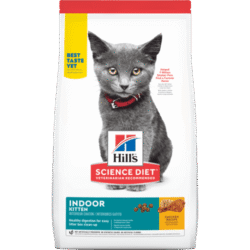 sd-feline-kitten-indoor-AMEANIMAL1